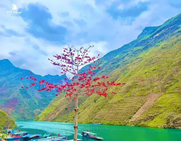 Ảnh Du Lịch