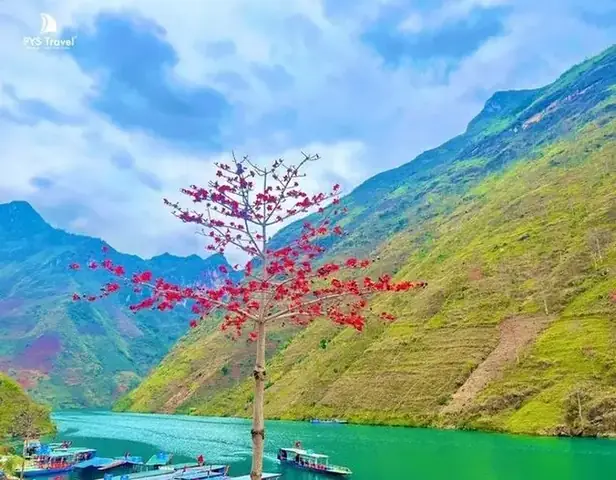 Hà Giang - Vùng Đất Của Đá Và Hoa