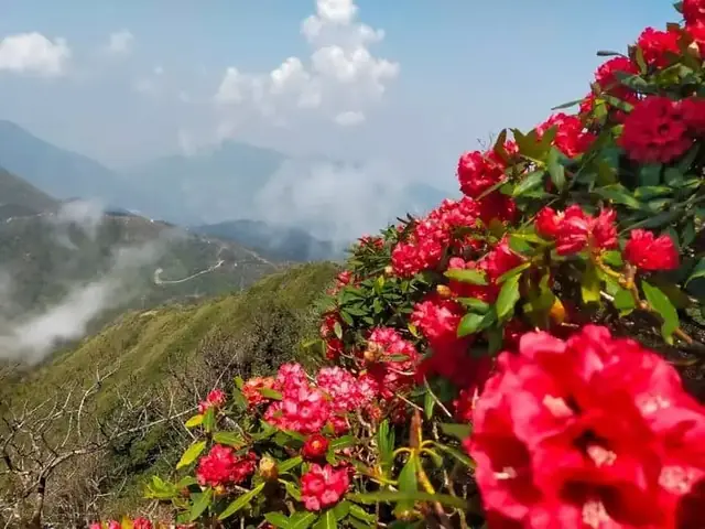 Sapa Tháng 3 – Thành Phố Trong Sương