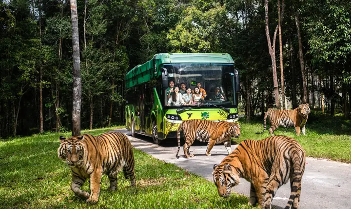 [gói Dịch Vụ] - Vip Zoo Tour - Vinpearl Safari Phú Quốc