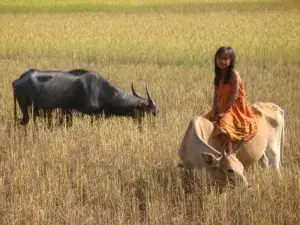 Update From Dad In Cambodia | Computing For Sustainability