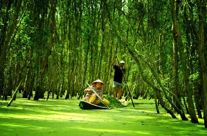 The 5 Best Things To See In The South Of Vietnam The 5 Best Things To See In The South Of Vietnam
