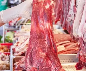 Cách Chọn Và Sơ Chế Gân Bò