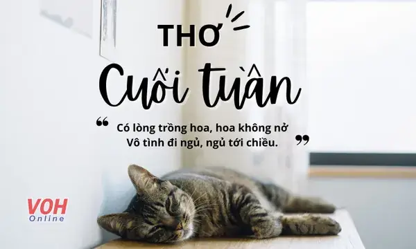 Top Thơ Cuối Tuần 2 Câu, Thơ Thư Giãn Ngày Cuối Tuần