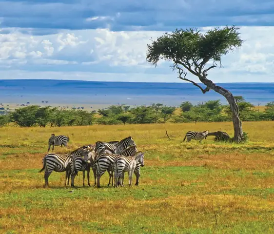 Tour Kenya: Thiên Đường Hoang Dã Châu Phi – New ...