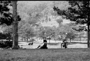 Vallée D'amour “thung Lũng Tình-yêu” - Mực Tím Sơn Đen