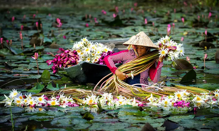 Khí Hậu Các Tỉnh Miền Tây Nam Bộ - Thời Điểm Nào Đi Miền Tây Đẹp ...