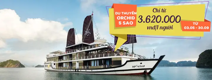 “phân Tích” Thời Tiết Hạ Long Theo Từng Tháng Cho Chuyến Đi Thêm ...