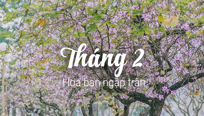Du Lịch Hà Nội Tháng 2 Với Kinh Nghiệm Ăn Chơi Từ A - Z