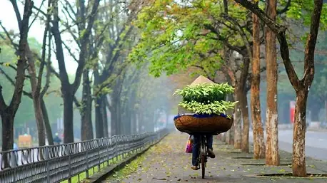 Thời Tiết Hà Nội Tháng 2 Thế Nào & Tips Du Lịch Nên Biết