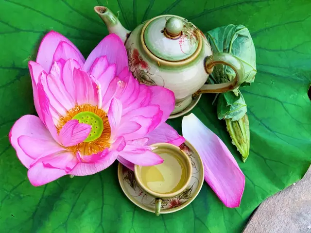 Nhâm Nhi Tách Trà Sen Tây Hồ