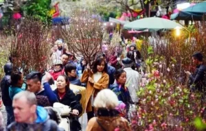Thời Tiết Cả Nước Dịp Tết Nguyên Đán Kỷ Hợi 2019 - Báo Quảng ...