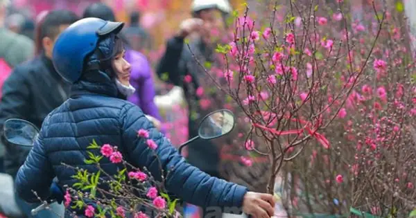 Thời Tiết Tết Nguyên Đán Nhâm Dần 2022: Miền Bắc Mưa Rét, Miền ...