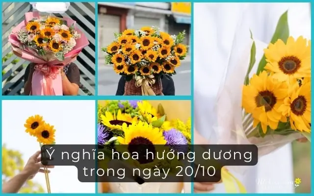 Hoa Hướng Dương Có Ý Nghĩa Gì Ngày 20/10? - Mrhoa.com