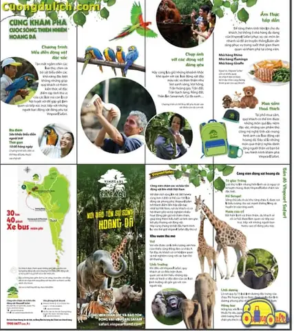 Tất Tần Tật Thông Tin Về Vinpearl Safari Phú Quốc Cho Cả Nhà Khám Phá Tất Tần Tật Thông Tin Về Vinpearl Safari Phú Quốc Cho Cả Nhà Khám Phá