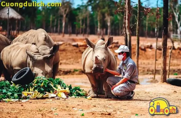 Tất Tần Tật Thông Tin Về Vinpearl Safari Phú Quốc Cho Cả Nhà Khám Phá Tất Tần Tật Thông Tin Về Vinpearl Safari Phú Quốc Cho Cả Nhà Khám Phá