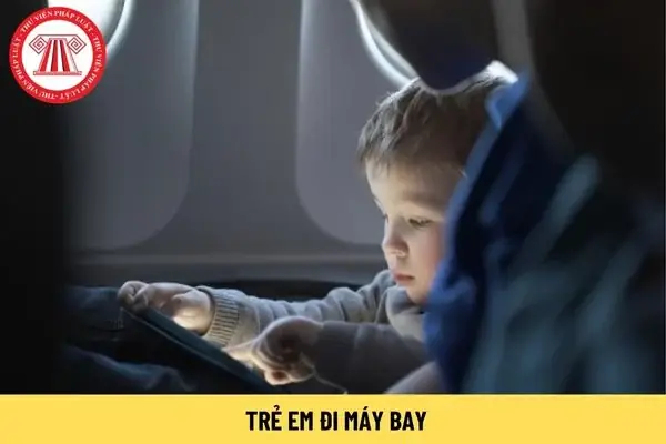 Trẻ Em Đi Máy Bay Với Ông Bà Có Được Không? Sử Dụng Bản Sao ...