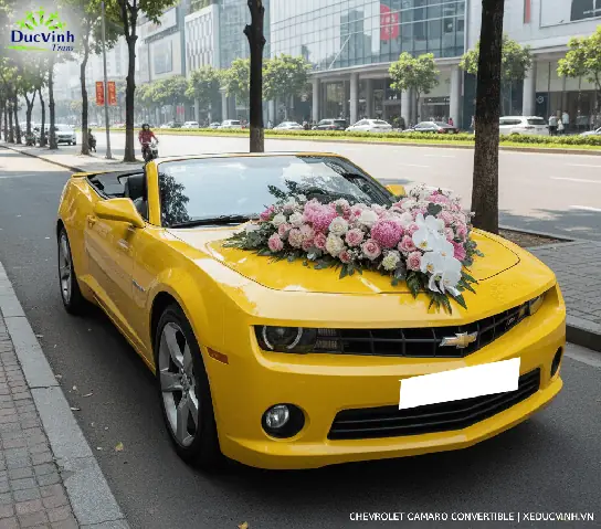 Bảng Giá Cho Thuê Xe Cưới, Xe Hoa Uy Tín Tại Đức Vinh Trans