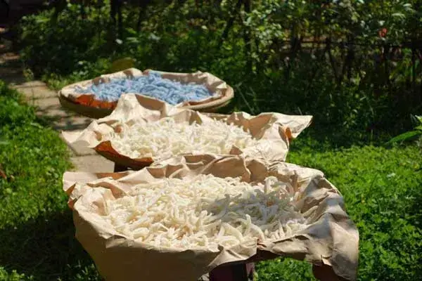 Giới Thiệu Về Mứt Dừa Bến Tre – Đặc Sản Gắn Kết Hương Vị Quê Hương Giới Thiệu Về Mứt Dừa Bến Tre – Đặc Sản Gắn Kết Hương Vị Quê Hương