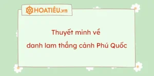 Thuyết Minh Về Danh Lam Thắng Cảnh Phú Quốc - Hoatieu.vn