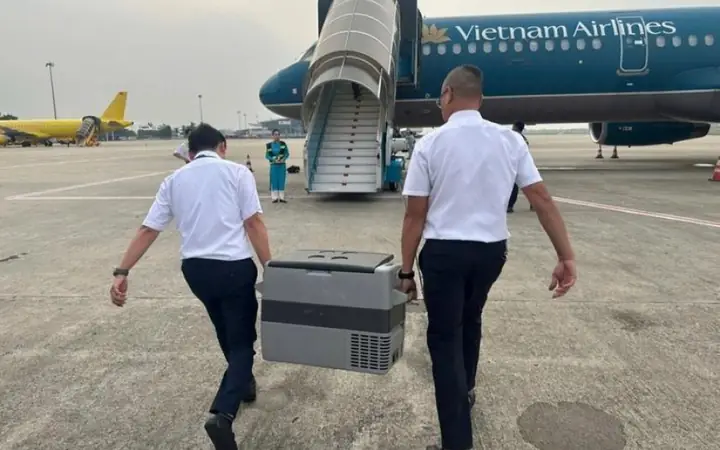 Máy Bay Lùi Giờ Để Hộ Tống Trái Tim Mang Sứ Mệnh Thắp Lên Cuộc Đời ...