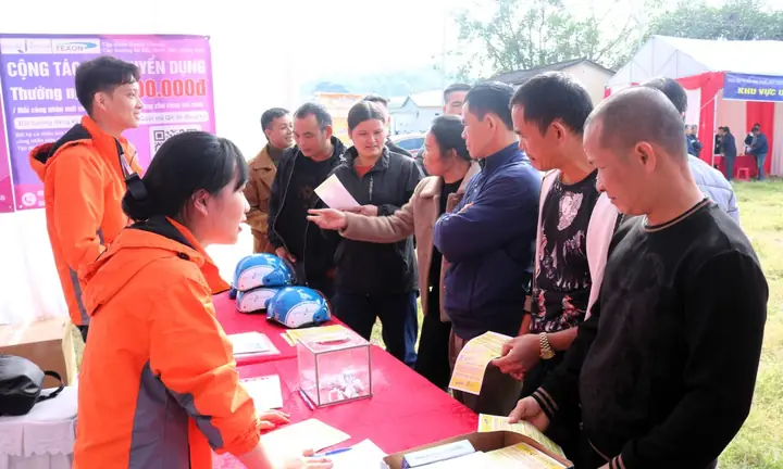 Hơn 1.000 Người Tham Gia Ngày Hội Tư Vấn Học Nghề, Giới Thiệu Việc ...