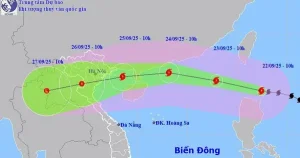 Ứng Phó Siêu Bão Ragasa: Sẵn Sàng Phương Án Học Trực Tuyến ...