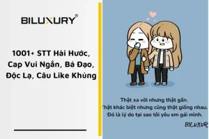 1001+ Stt Hài Hước Ngắn, Bá Đạo, Độc Lạ, Câu Like Khủng