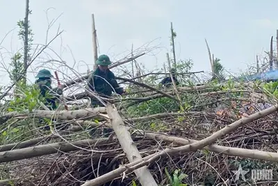 Hàng Trăm Người Tham Gia Chữa Cháy Rừng Tại Tp Uông Bí, Quảng ... Hàng Trăm Người Tham Gia Chữa Cháy Rừng Tại Tp Uông Bí, Quảng ...