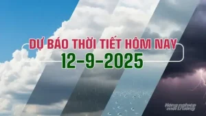 Tin Thời Tiết Ngày Và Đêm Nay 12/9/2025 Mới Nhất