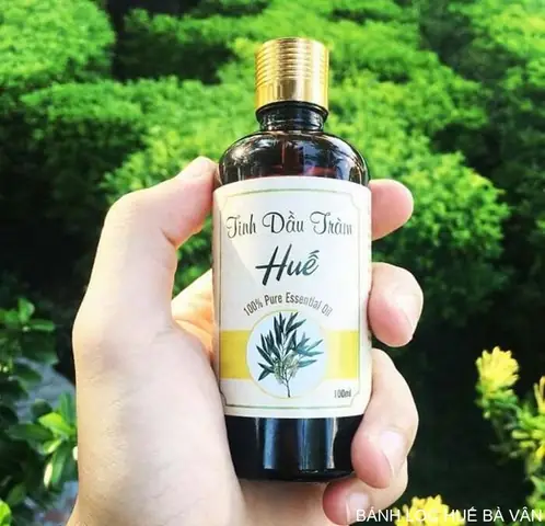 Tinh Dầu Tràm Huế - Công Dụng Và Thương Hiệu Uy Tín Nên Mua Tinh Dầu Tràm Huế - Công Dụng Và Thương Hiệu Uy Tín Nên Mua