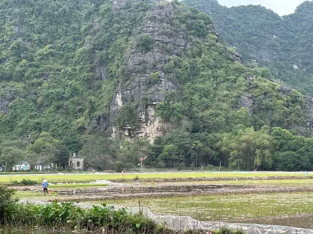 See The Rice Paddies Of Vietnam