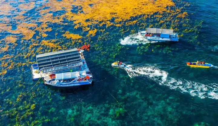 Tour Hòn Khô - Lặn Ngắm San Hô Nửa Ngày Đón Tại Nhơn Hải - Quy ...