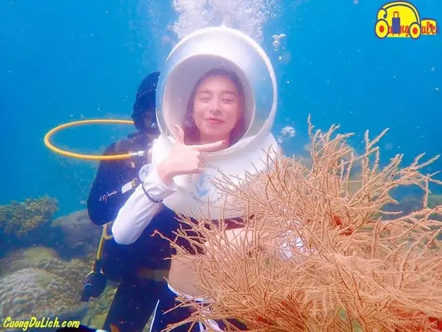 Đi Bộ Dưới Biển Nha Trang Ở Đâu?