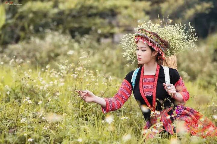 Tour Du Lịch Tây Bắc 3 Ngày 2 Đêm: Hà Nội - Mộc Châu - Sơn La ...