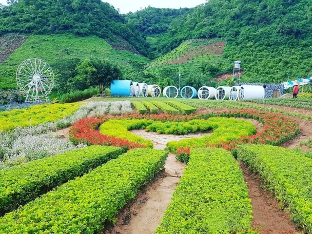 Du Lịch Mộc Châu 2 Ngày 1 Đêm Từ Hải Phòng Du Lịch Mộc Châu 2 Ngày 1 Đêm Từ Hải Phòng