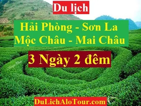 Tour Hải Phòng - Sơn La - Mộc Châu - Mai Châu Tour Hải Phòng - Sơn La - Mộc Châu - Mai Châu