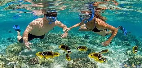 Lặn Biển Cù Lao Chàm: Top Địa Điểm, Giá Vé & Lưu Ý