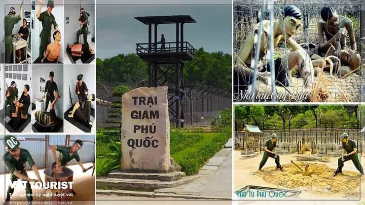 Ngày 2 |câu Cá Ngắm San Hô (ăn Sáng, Trưa, Tối)
