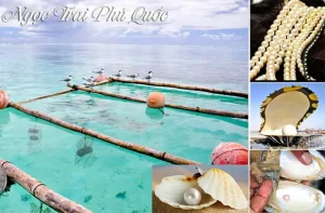 Tour Phú Quốc Từ Sài Gòn