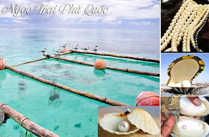 Tour Phú Quốc Từ Sài Gòn