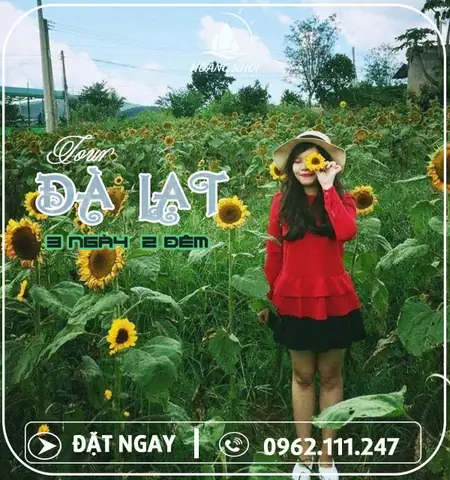 Tour Du Lịch Đà Lạt (3 Ngày 2 Đêm) Tour Du Lịch Đà Lạt (3 Ngày 2 Đêm)