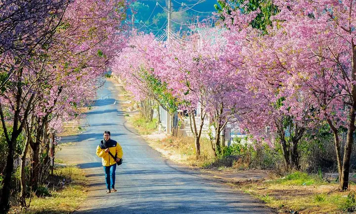 Tour Du Lịch Sài Gòn - Nha Trang - Đà Lạt 5 Ngày 4 Đêm Toptravel.vn