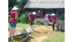 Tour Tham Quan Làng Rau Trà Quế