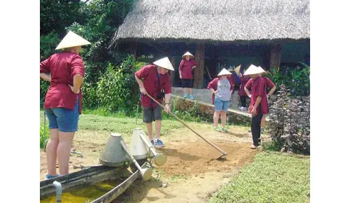 Tour Tham Quan Làng Rau Trà Quế