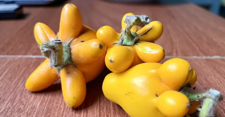Độc Lạ Miền Tây Trưng Mâm Ngũ Quả Có Thêm Trái... Dư - Tuổi Trẻ ...