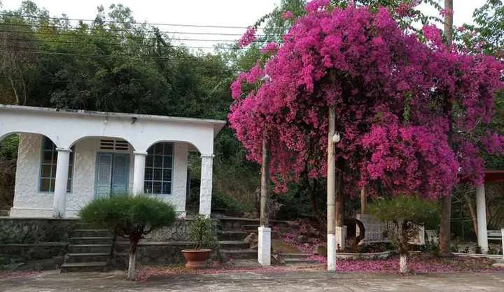 Một Chút Về Bệnh Phong Một Chút Về Bệnh Phong