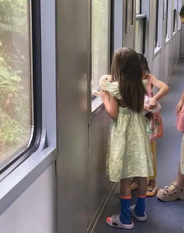 Train From Da Nang To Dong Hoi