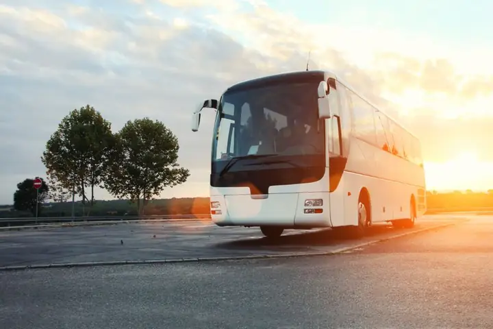 By Bus