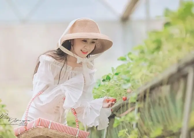 Những Nông Trại Đẹp Ở Việt Nam 'nổi Như Cồn' Trên Instagram